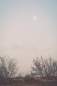 冬季日落, 月亮和飞机在天空中的足迹。老式