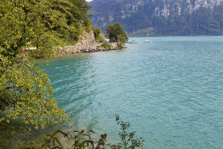 瑞士湖