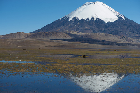 parinacota 火山