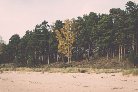海岸线的波罗的海海滩与岩石和沙丘复古