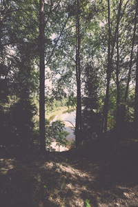 在树林里河边稀土风景和美丽的旅游步道