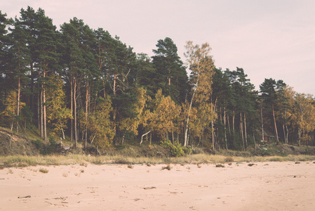 海岸线的波罗的海海滩与岩石和沙丘复古