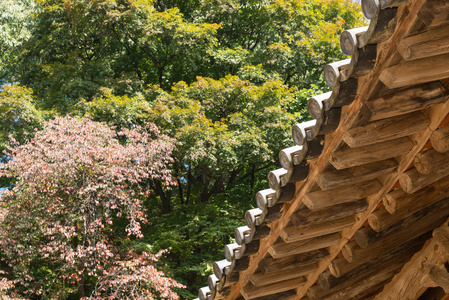 韩国传统屋檐下侧