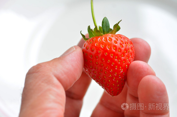 男子手捧一个草莓照片-正版商用图片1hqg86-摄图新视界
