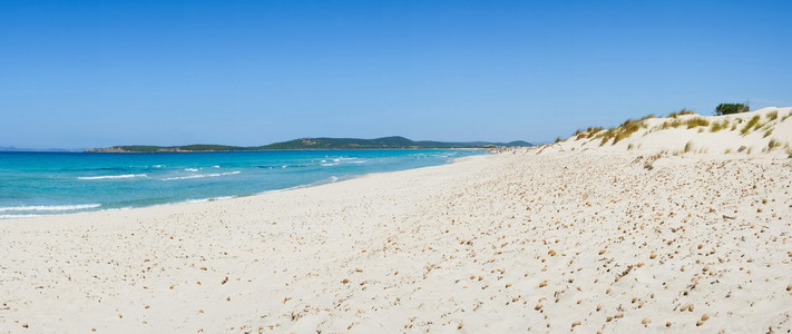 撒丁岛海滩沙丘
