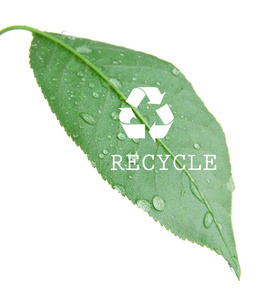 回收上绿色的叶子，回收概念的符号