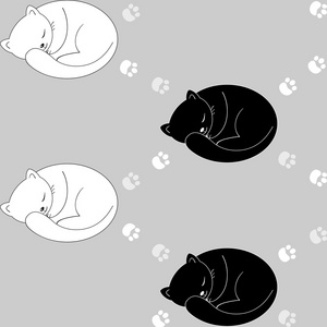猫黑与白的无缝模式。矢量图