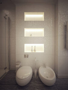 厕所和浴盆的现代风格