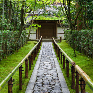 在京都，日本筝在寺