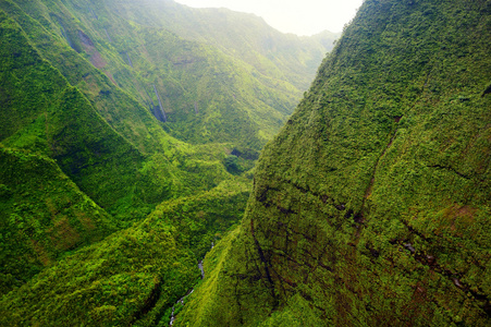 在考艾岛山 Waialeale