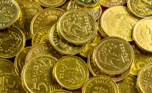 最好的波兰货币