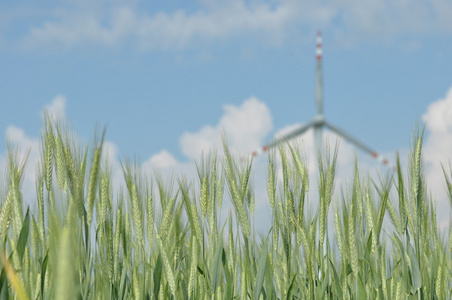 风车，生产的绿色能源。帆柱与叶片