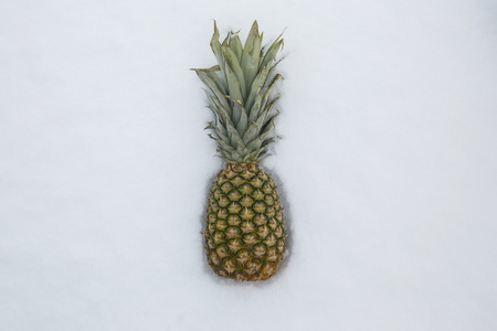 菠萝在雪中