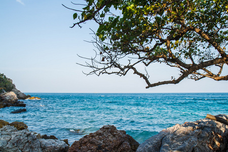 沙滩上岛柯兰 Pattaya.Thailand