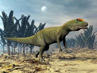 异特龙恐龙3d 渲染