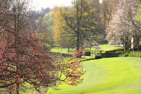 美丽的春天风景插画
