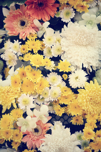 束鲜花