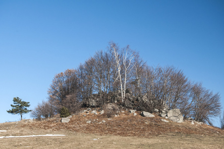 山与岩石和树