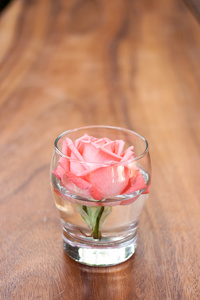 在一杯玫瑰装饰在桌子上