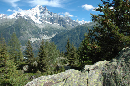 岩石 树木和附近夏蒙尼在法国的阿尔卑斯山的山峰