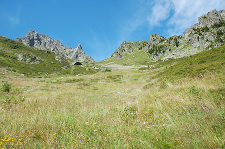 草甸上的山坡和附近在法国夏蒙尼峰