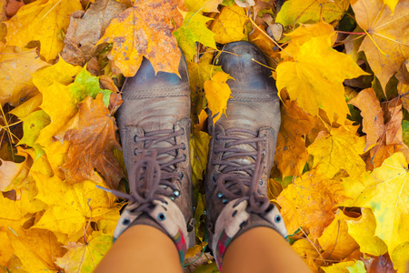 秋天的树叶的靴子图片
