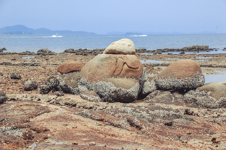 与岩石海岸海滨