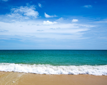 海滩和热带海