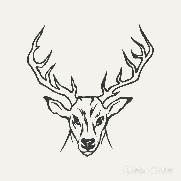 鹿的插图黑色和白色的风格