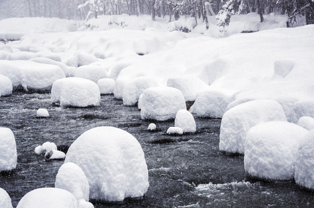 山江雪