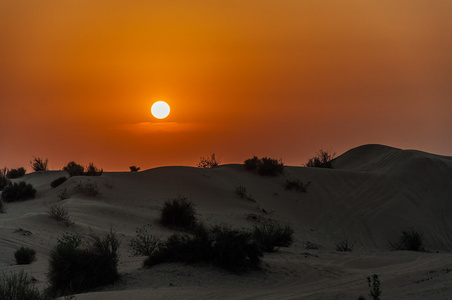 在沙漠的日落