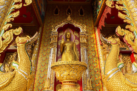 在殿里，泰国站金佛像