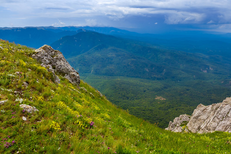 绿色山现场