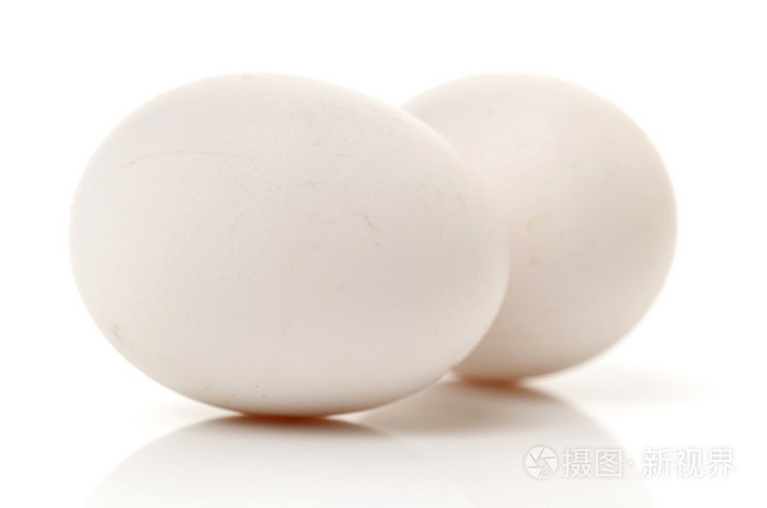 白鸡蛋白底