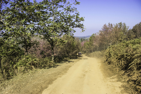 山区和山区公路的意见