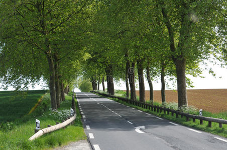 法国，一条风景如画的阿尔西乡村公路