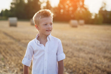 阳光明媚的田野里快乐的孩子的画像