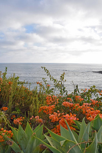 拉古纳海滩海岸线和花园