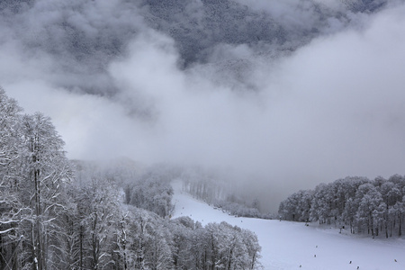 美丽的雪山高加索