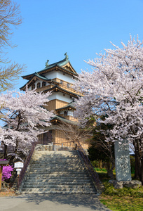 樱花和高岛城堡