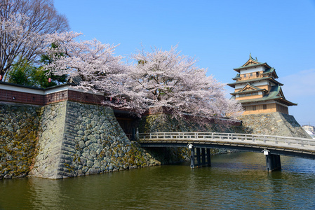 樱花和高岛城堡