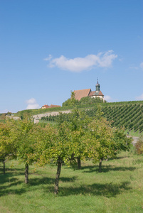 法兰克葡萄酒区域低弗兰肯，巴伐利亚德国