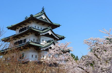 樱花和弘前城堡