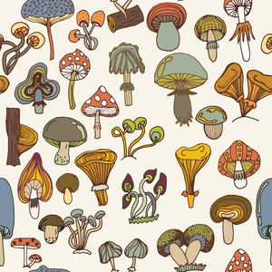 五颜六色的蘑菇模式