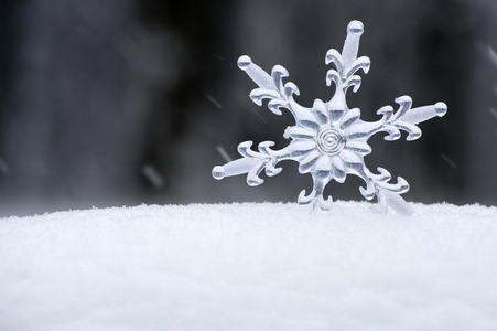 雪花在白雪中