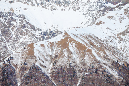 高加索山脉的雪坡上的模式图片