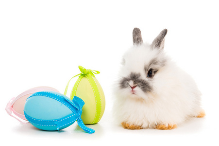 兔子与彩蛋