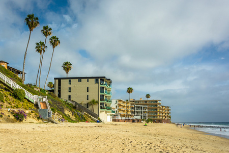 建筑物和拉古纳海滩，公司可以在海滩上的棕榈树