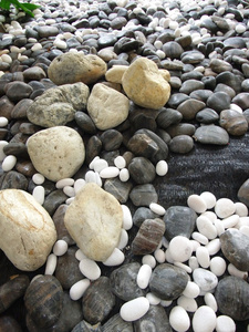 卵石石头