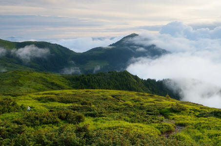 在山的夏天风景